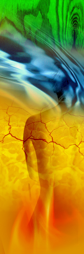 Cranio-Sacrale-Körperarbeit